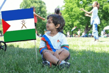 a little boy is sitting in the grass in front of a small flag .