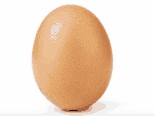 a brown egg on a white background with a few small dots on it