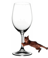 a cat is climbing up a wine glass