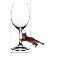 a cat is climbing up a wine glass