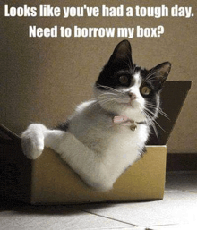 a black and white cat is sitting in a cardboard box and looking out of it .