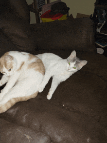 two cats laying on a brown leather couch with a sign on the wall that says ' i love you ' on it