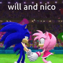 sonic the hedgehog and amy rose are standing next to each other on a field with the words will and nico above them