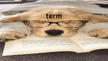 a dog wearing glasses is laying on a book with the word term above it