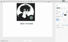 a computer screen shows a picture of a boy with the words berd i love berd
