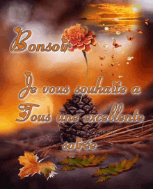 a picture of a pine cone with the words bonsoir je vous souhaite a tous une excellente soirée