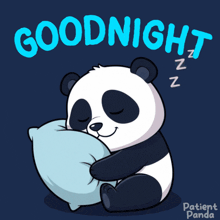 a panda bear sleeping on a pillow with the words " goodnight " written above it