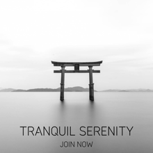 an advertisement for tranquil serenity with a torii gate in the water