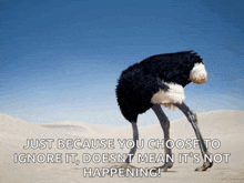 an ostrich with its head in the sand with a quote behind it