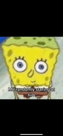 spongebob squarepants is randomly staring at someone .