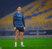 a soccer player with the number 7 on his shirt stands on the field