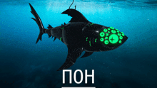 a black shark with glowing eyes is swimming in the water with the word pon below it