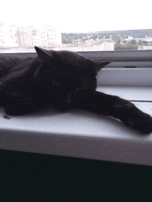 a black cat is laying on a window sill looking out the window