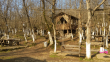 a wooden house in the middle of a forest with a bench in front of it