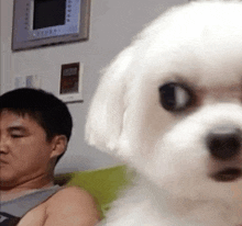 a man is sitting on a couch while a small white dog looks at the camera .