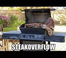 a large piece of meat is sitting on top of a grill with the words `` steakoverflow '' above it .