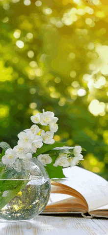 a vase of flowers sits next to an open book on a table