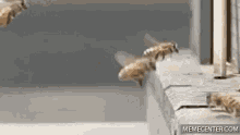 a row of bees are flying over a ledge .