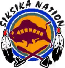 a logo for the siska nation with a buffalo in the center