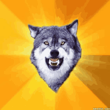 a picture of a wolf 's face with a yellow background