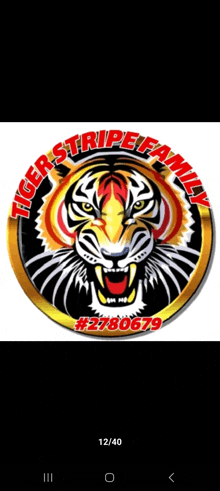 a logo for tiger stripe family with a tiger in the center