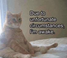 a cat is sitting on a bed with the words " due to unfortunate circumstances i 'm awake "