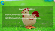 a picture of a stuffed chicken with the words market dynamics above it