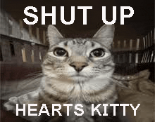 a cat is sitting in a cage with the words `` shut up hearts kitty '' written above it .