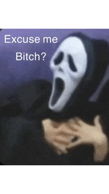 a person wearing a scream mask with the words excuse me bitch