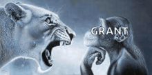 a lion and a monkey are standing next to each other with the word grant on the bottom of the picture .