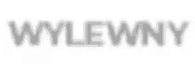 the word wylewny is written in a blurred font on a white background .