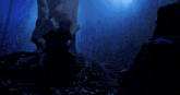 a tree in a dark forest with a blue background