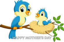 a happy mother 's day greeting card with two birds on a branch