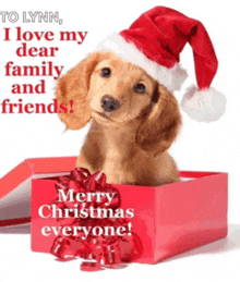 a puppy wearing a santa hat sits in a red box with a merry christmas everyone message