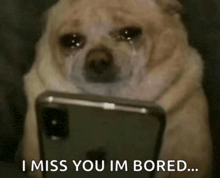 a dog is crying while looking at a cell phone with the words " i miss you im bored " below it
