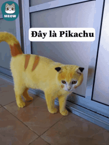 a cat with pikachu painted on it 's face