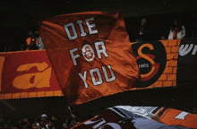 a fan holds up a flag that says die for you on it