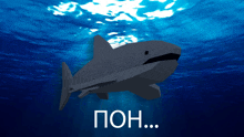 a low poly shark is swimming in the ocean with the words poh written below it