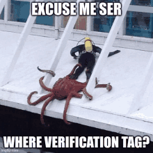 a picture of an octopus and a scuba diver with a caption that says excuse me ser where verification tag