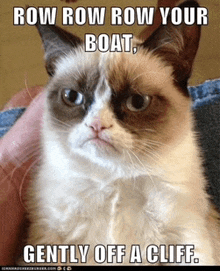 a grumpy cat says row row row your boat and gently off a cliff