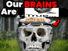 a skull with the words our brains are true truth nuke