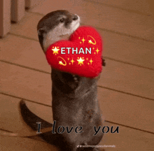 an otter holding a red heart that says ethan on it