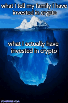 a picture of an iceberg that says what i tell my family i have invested in crypto