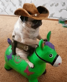 a pug dog wearing a cowboy hat is riding on a green bouncy horse