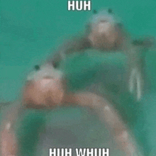 a couple of dolphins swimming in the water with a caption that says `` huh whih '' .