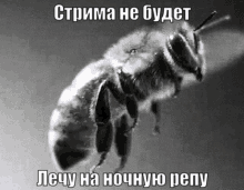 a black and white photo of a bee with a caption in a foreign language