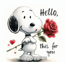 snoopy is holding a red rose and says hello , this for you .