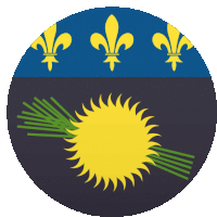 a blue and yellow circle with a sun and three fleur de lis