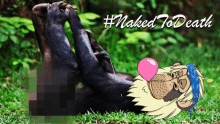 a picture of a monkey with a bubble gum and the words #naked to death