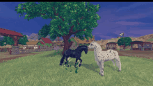 a black horse and a white horse standing next to each other in a field